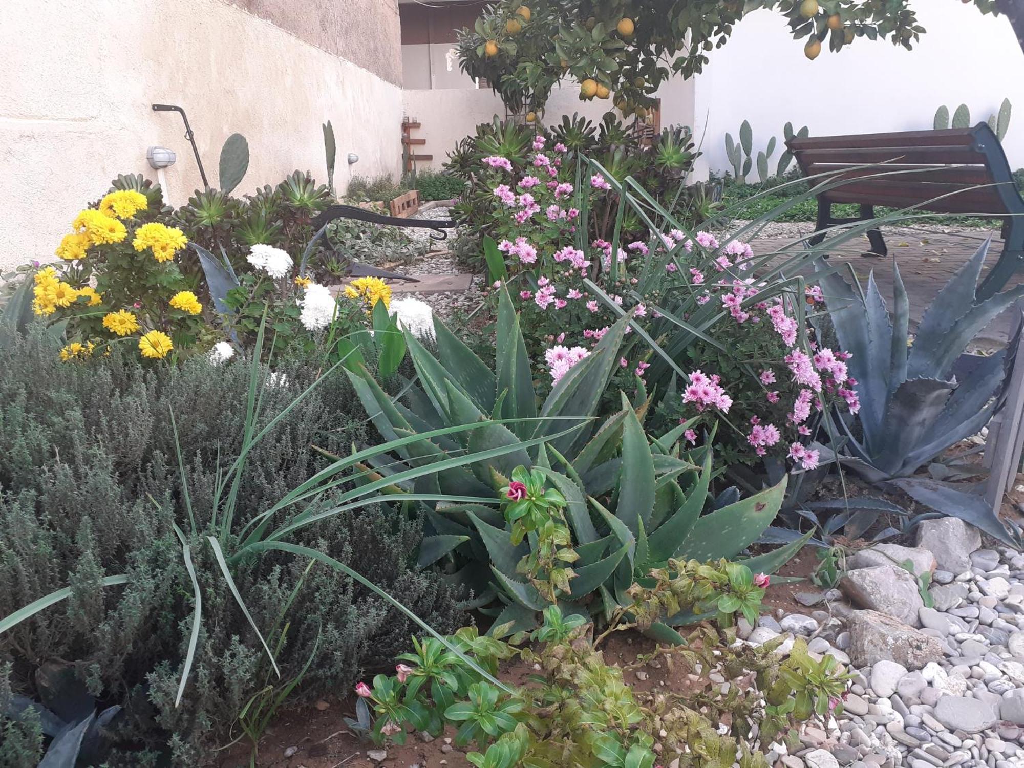 Villa Michael'S Greek House Argo Esterno foto